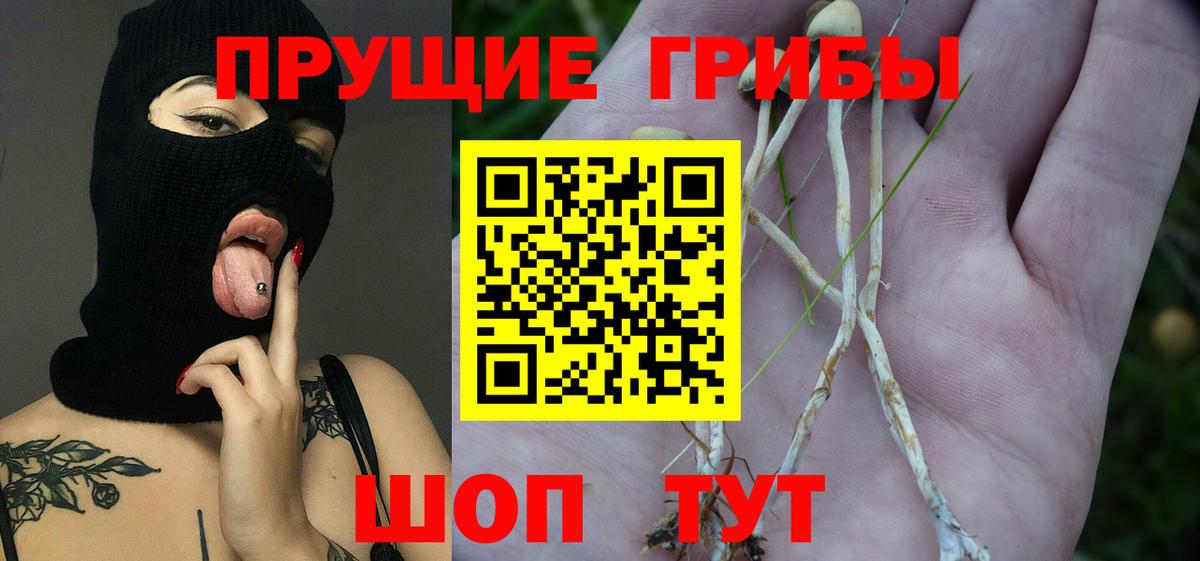 Псилоцибиновые грибы прущие грибы  Вход с VPN  Ростов Великий 